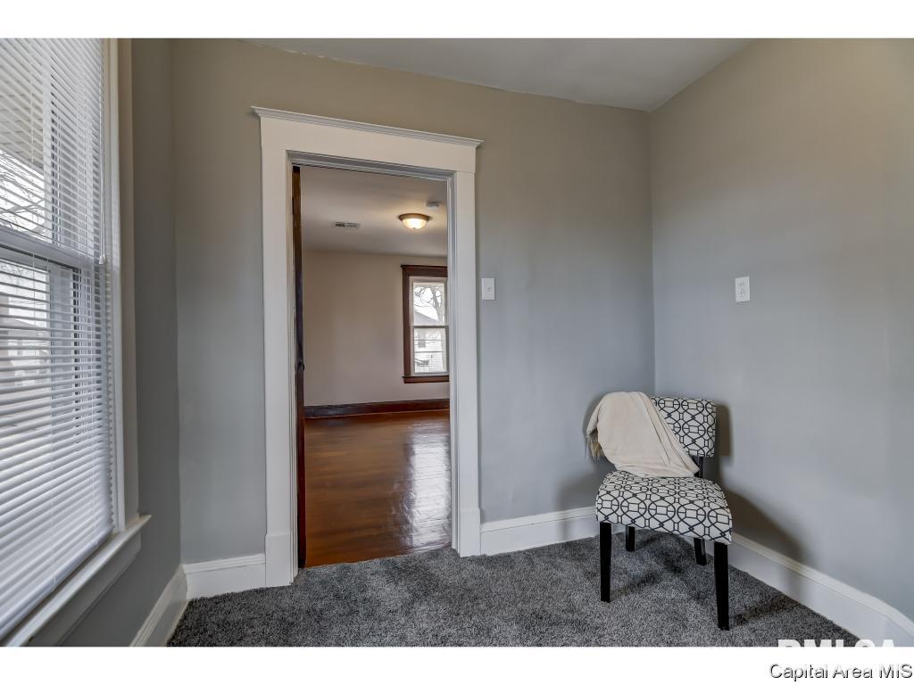 307 East Cedar Street Springfield, IL 62703 - Photo 19 of 36