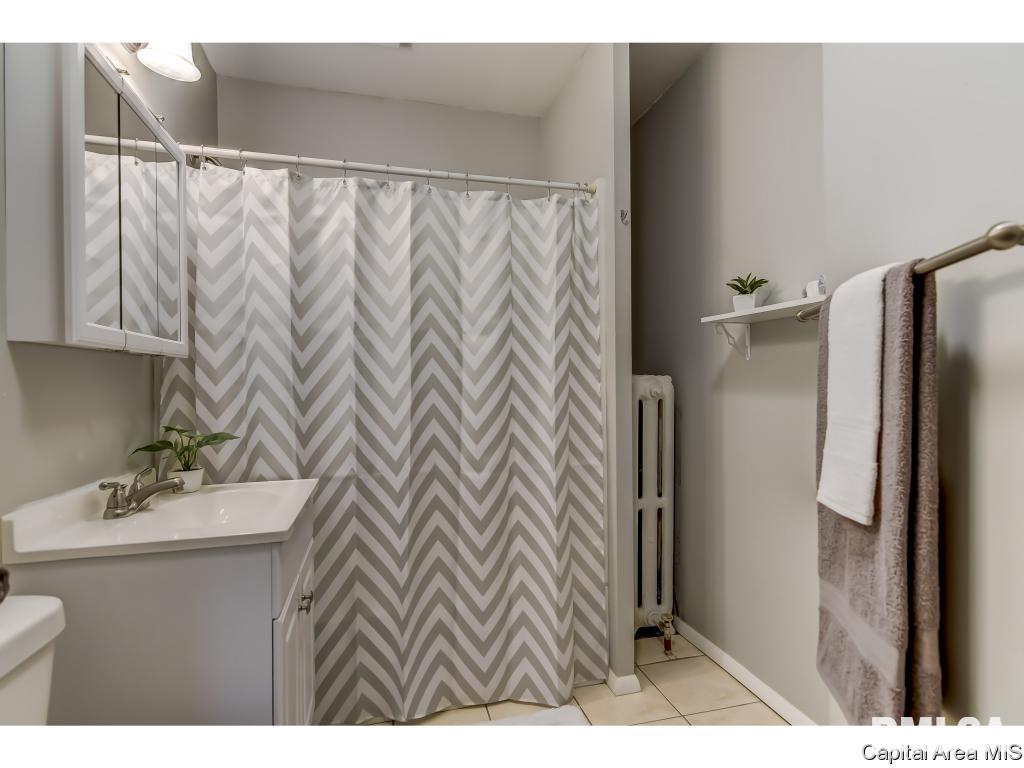307 East Cedar Street Springfield, IL 62703 - Photo 27 of 36