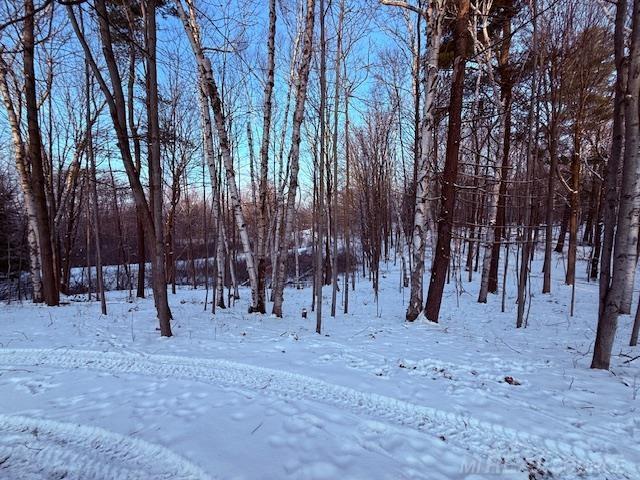 1591 Winslow Road Imlay City, MI 48444 - Photo 60 of 68 50196822-8cc9d3e1-2c69-4fb0-beca-2f1c85174d78.JPG
