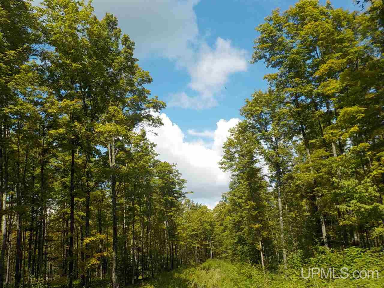 80-ac Mcclaren Road Crystal Falls, MI 49920 - Photo 1 of 27