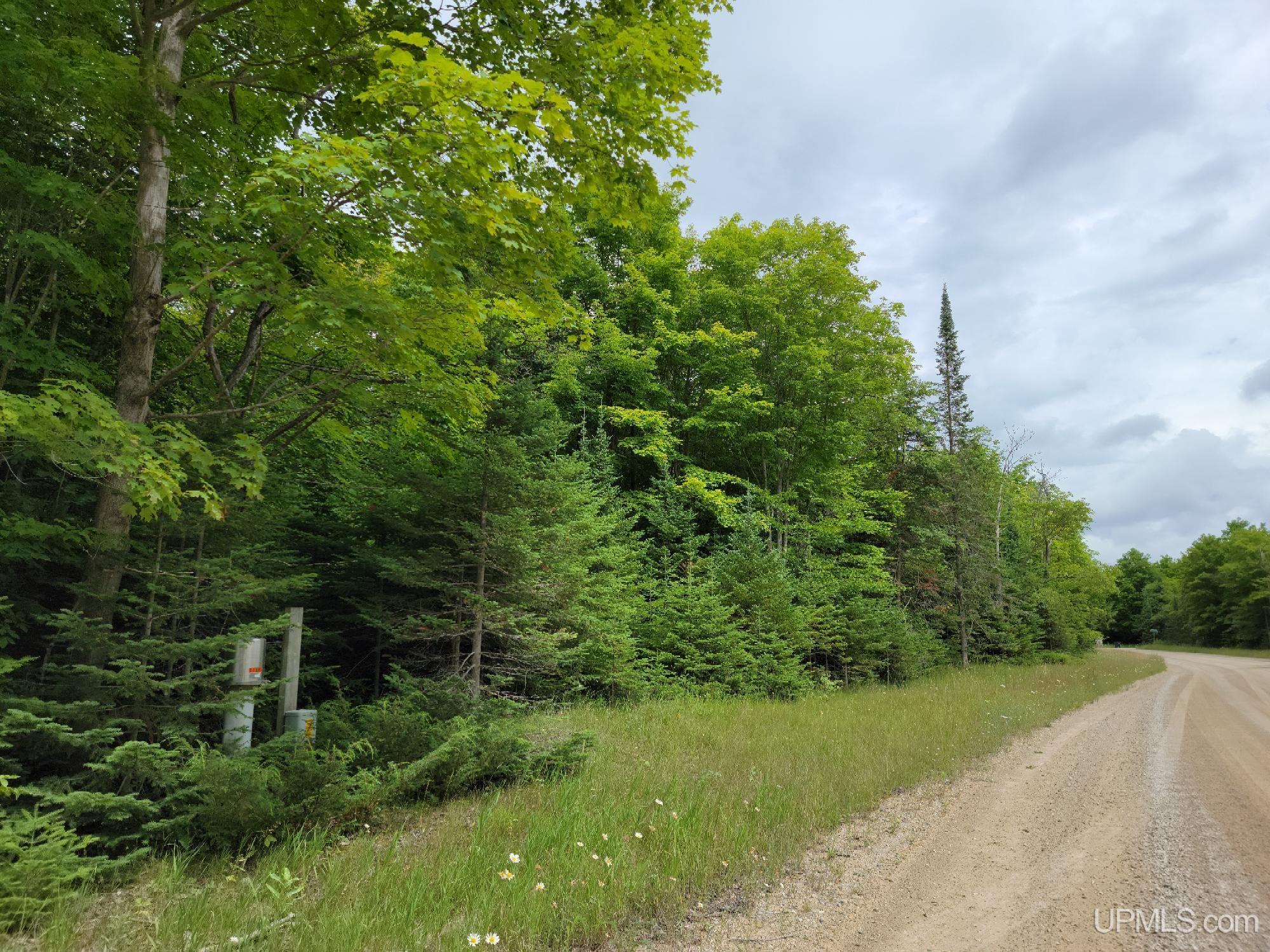 3733s Little Harbor Road Manistique, MI 49854 - Photo 10 of 15 Gallery Image 10