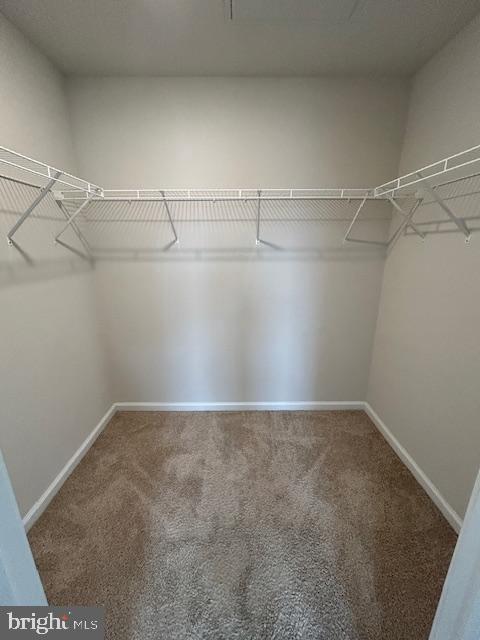 34 Rome Way Mount Laurel, NJ 08054 - Photo 14 of 25 a view of a room with racks on the wall