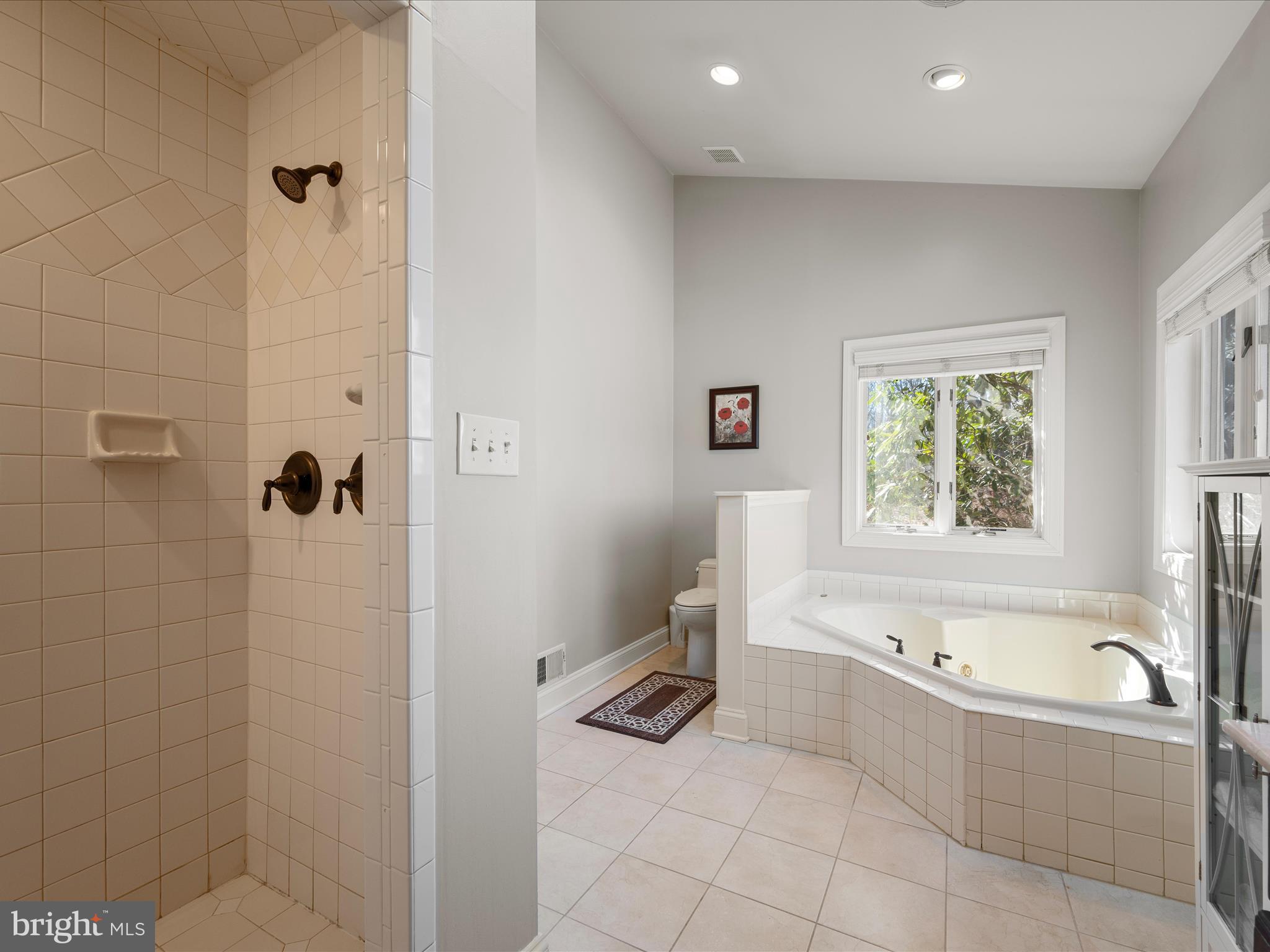 41950 Saddlebrook Place Leesburg, VA 20176 - Photo 37 of 87 a bathroom with a bathtub and a shower