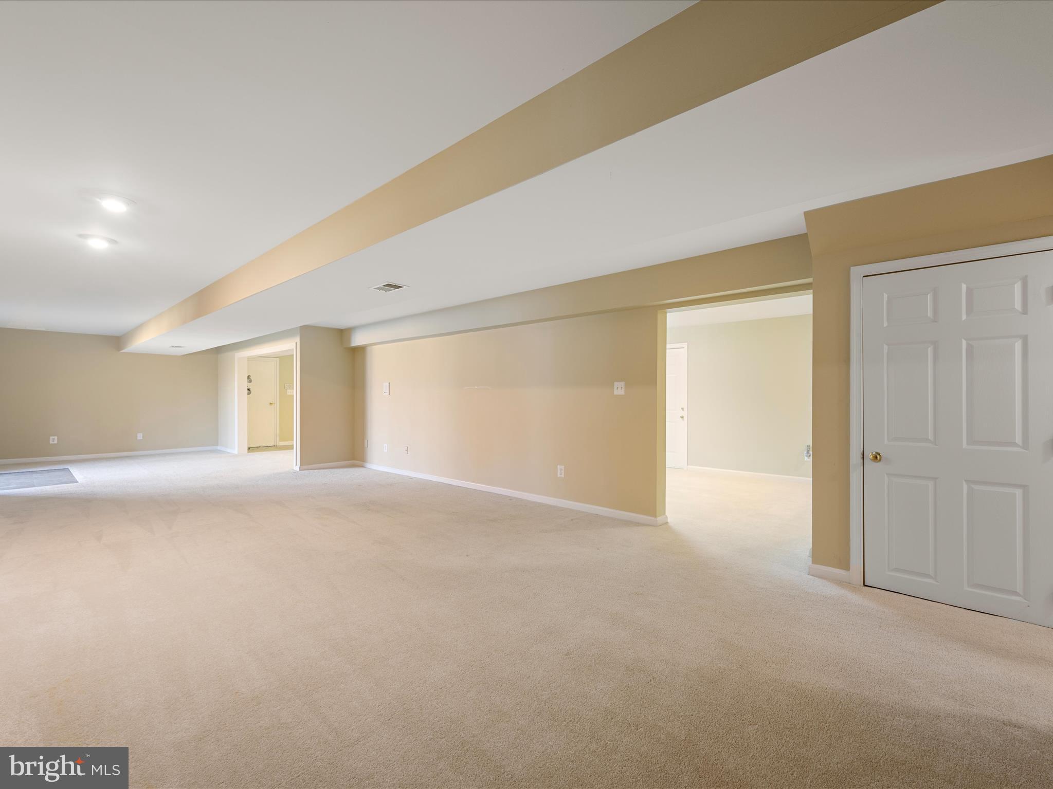 41950 Saddlebrook Place Leesburg, VA 20176 - Photo 52 of 87 Basement