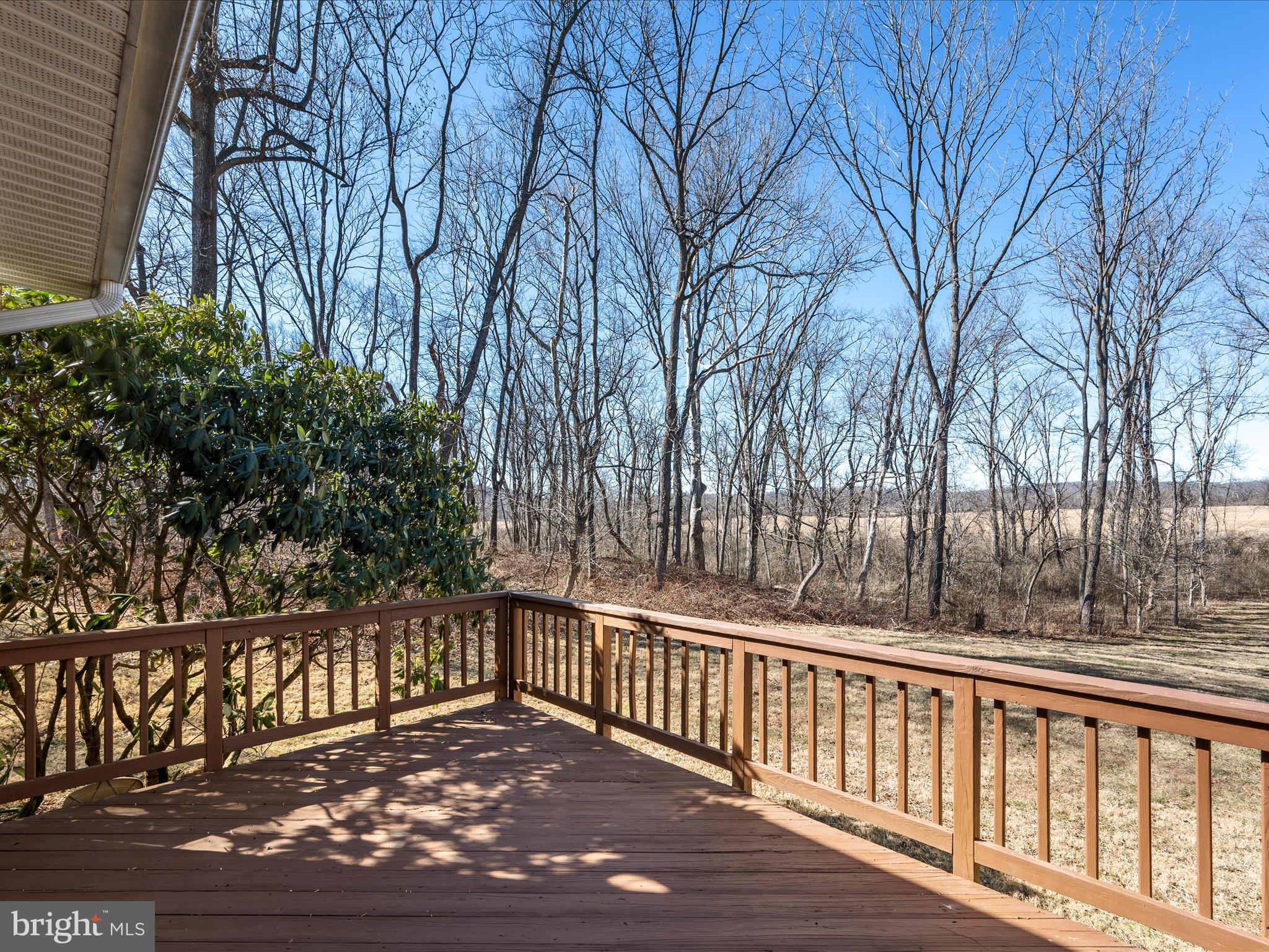 41950 Saddlebrook Place Leesburg, VA 20176 - Photo 57 of 87 Deck