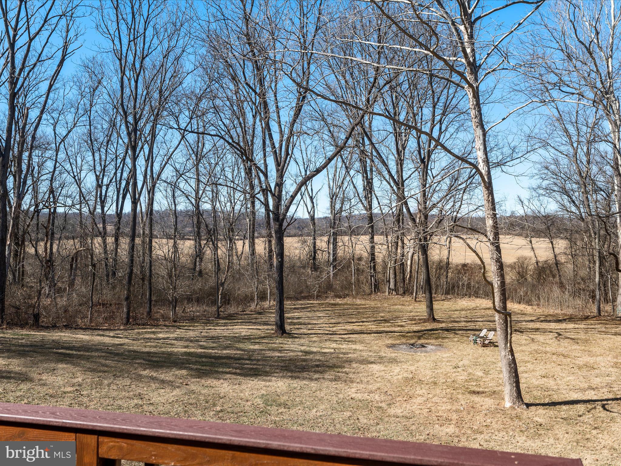 41950 Saddlebrook Place Leesburg, VA 20176 - Photo 60 of 87 a view of a yard with snow on the road
