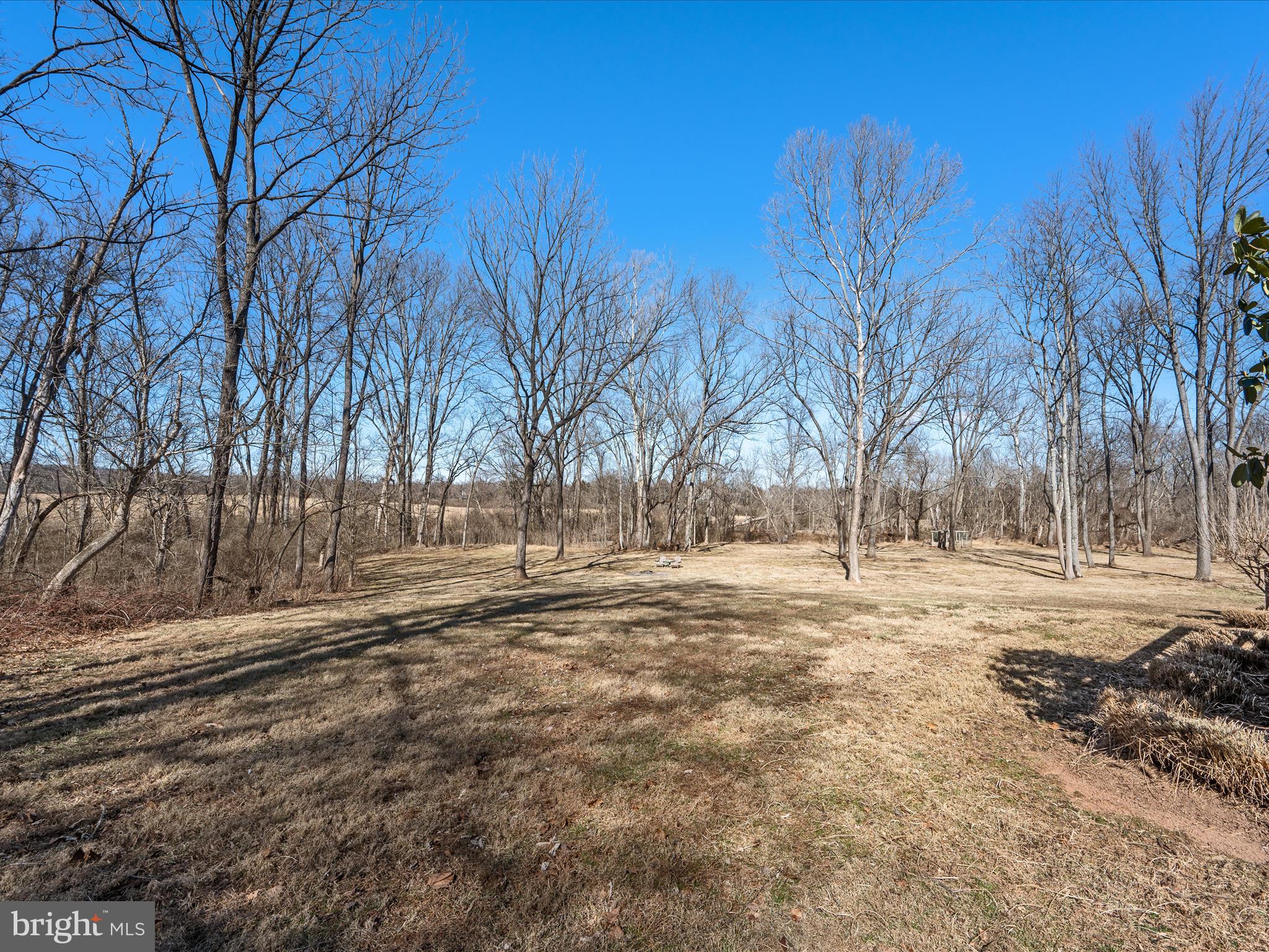 41950 Saddlebrook Place Leesburg, VA 20176 - Photo 64 of 87 a view of dirt yard with a large tree
