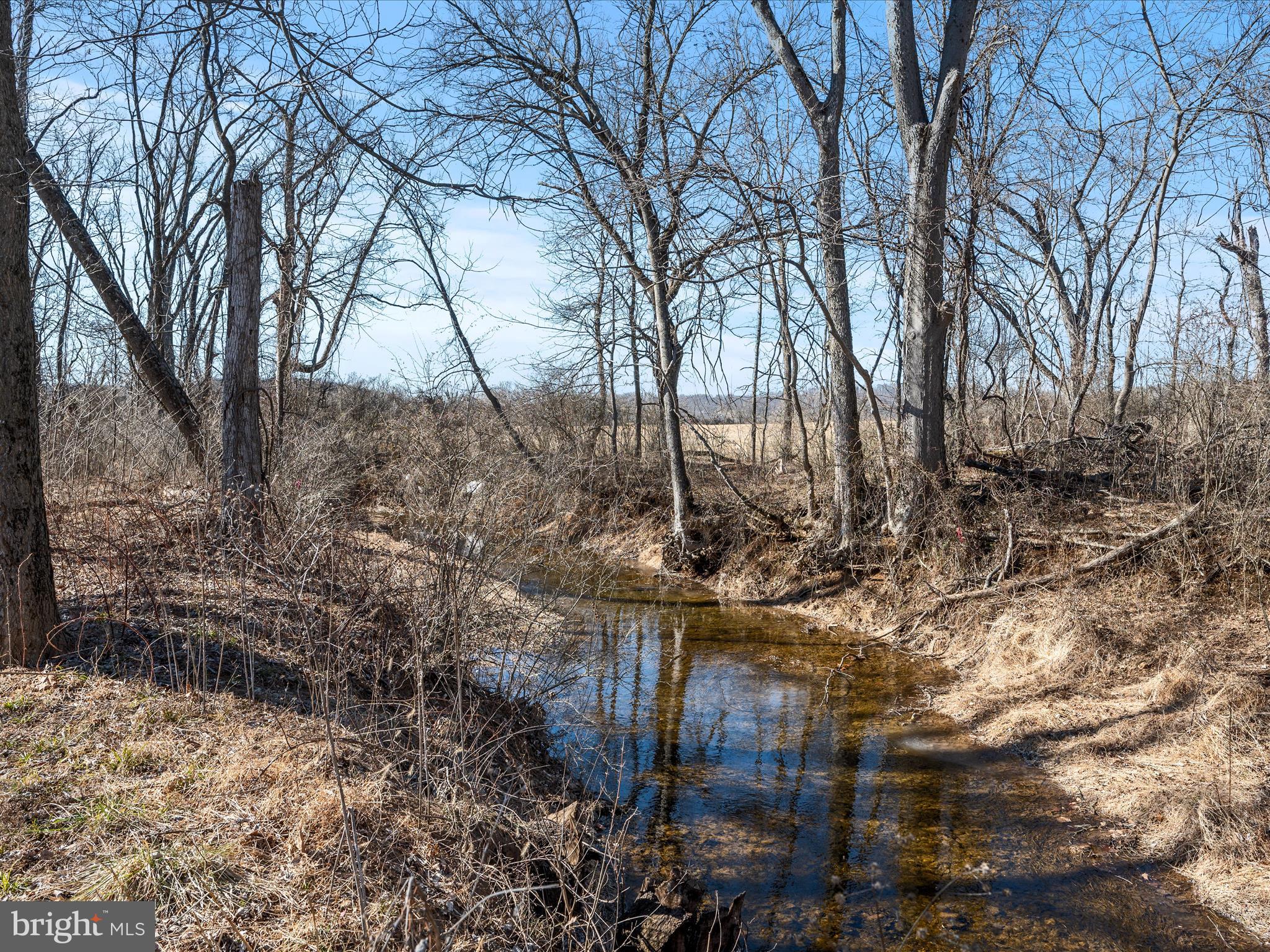 41950 Saddlebrook Place Leesburg, VA 20176 - Photo 66 of 87 Creek