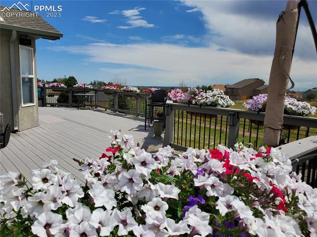 11973 Rio Secco Road Peyton, CO 80831 - Photo 8 of 33