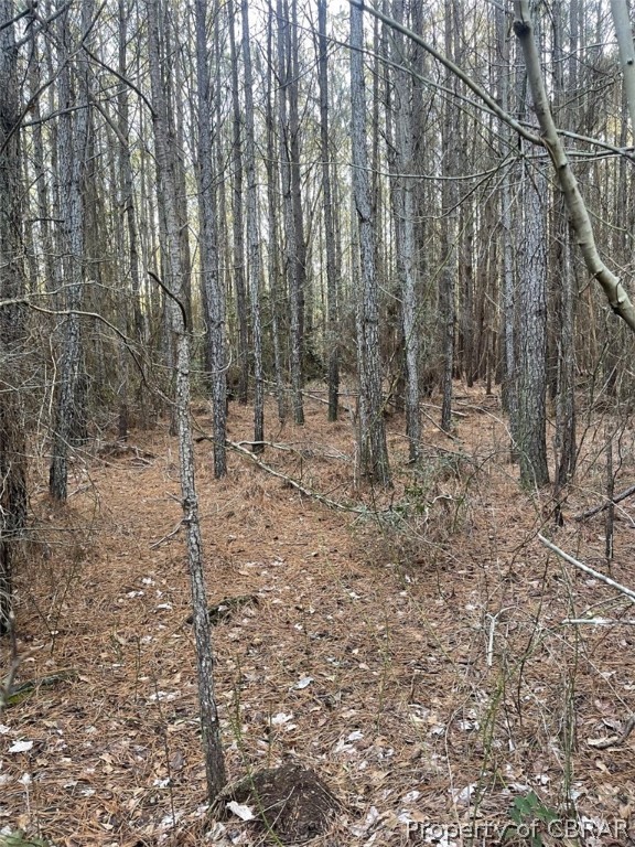 155-ac Bethel Beach Road Onemo, VA 23130 - Photo 3 of 15