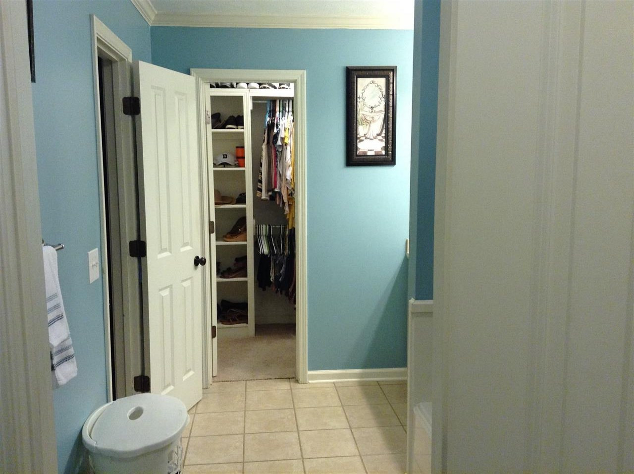 604 Briars Bend Brandon, MS 39042 - Photo 18 of 26 Photo 19
