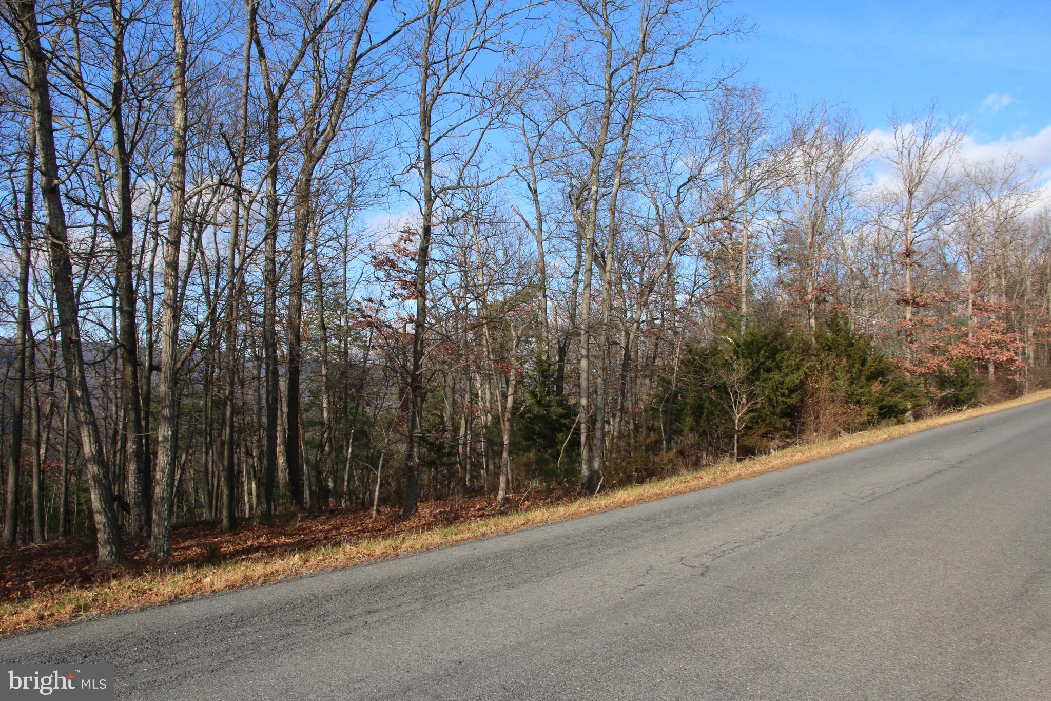 Supinlick Ridge Rd Mount Mount Jackson, VA 22842 - Photo 11 of 19