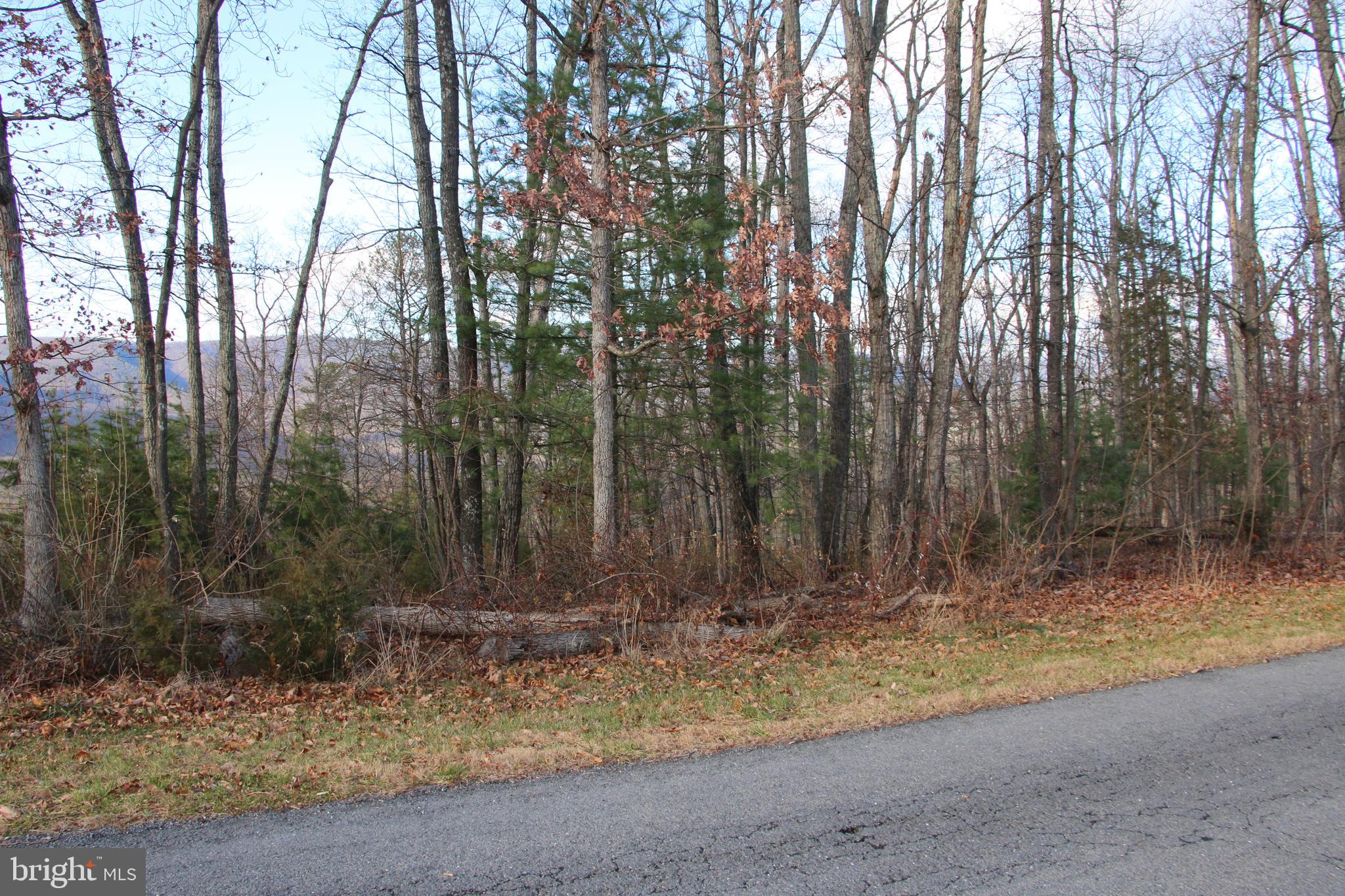 Supinlick Ridge Rd Mount Mount Jackson, VA 22842 - Photo 2 of 19
