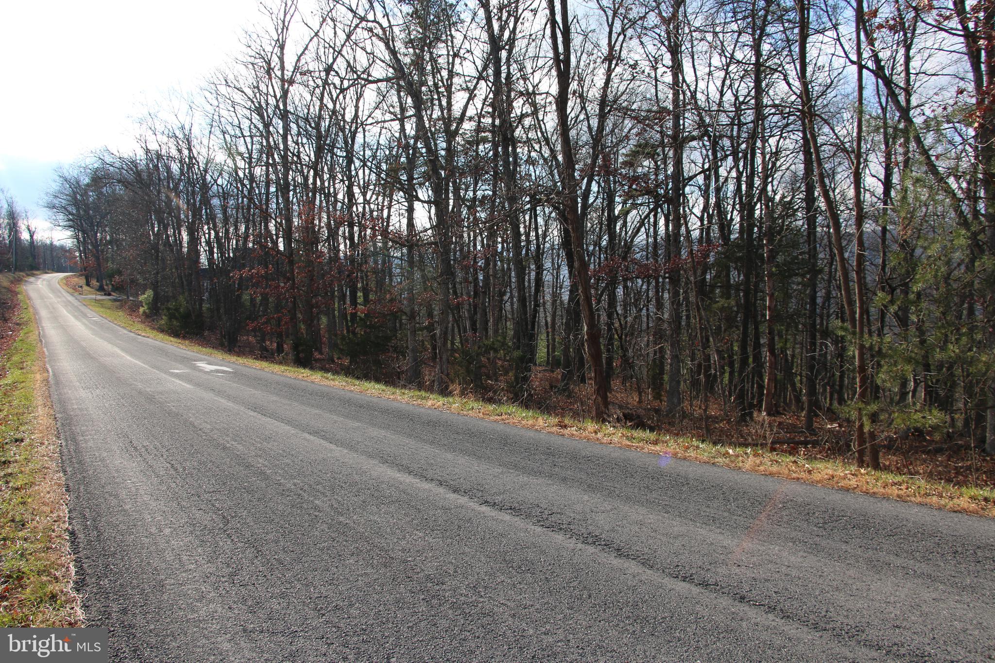 Supinlick Ridge Rd Mount Mount Jackson, VA 22842 - Photo 9 of 19