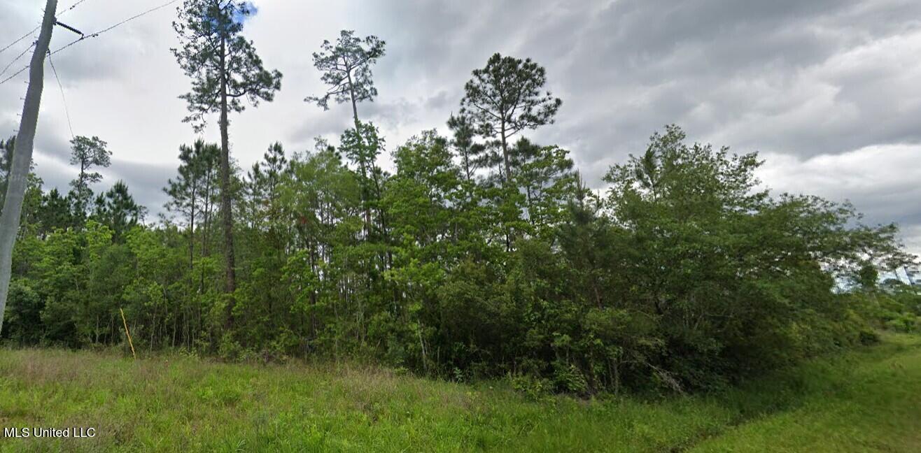 Amazon Street Bay St. Louis, MS 39520 - Photo 3 of 3 street shot