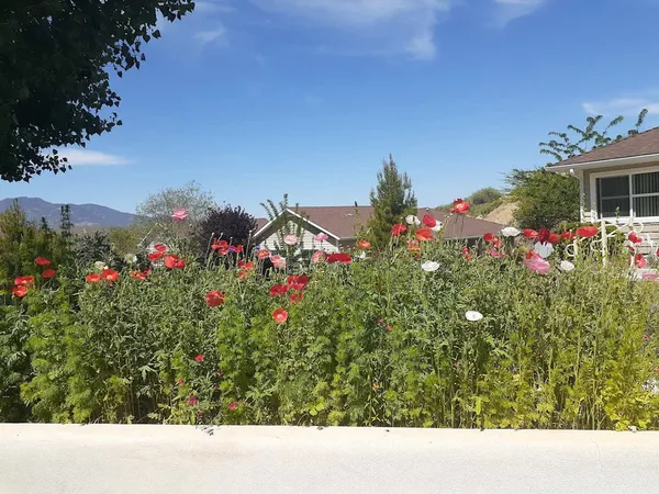 a view of a outdoor space