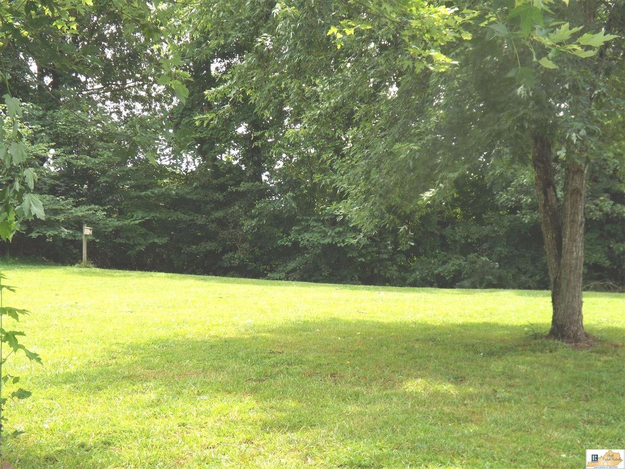 1231 Steenbergen Road Scottsville, KY 42164 - Photo 3 of 22 Gallery Image 3