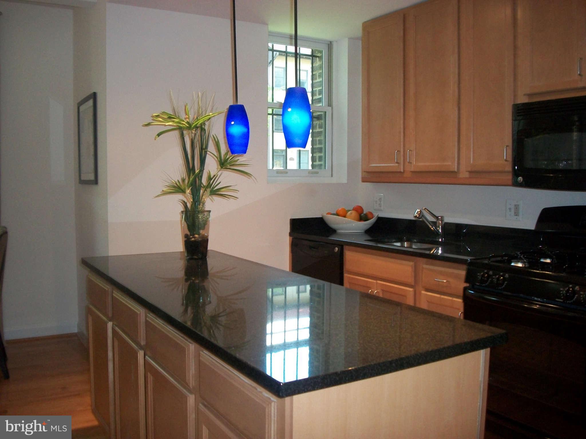 1440 Columbia Road Northwest, Unit 101 Washington, DC 20009 - Photo 7 of 30 Kitchen