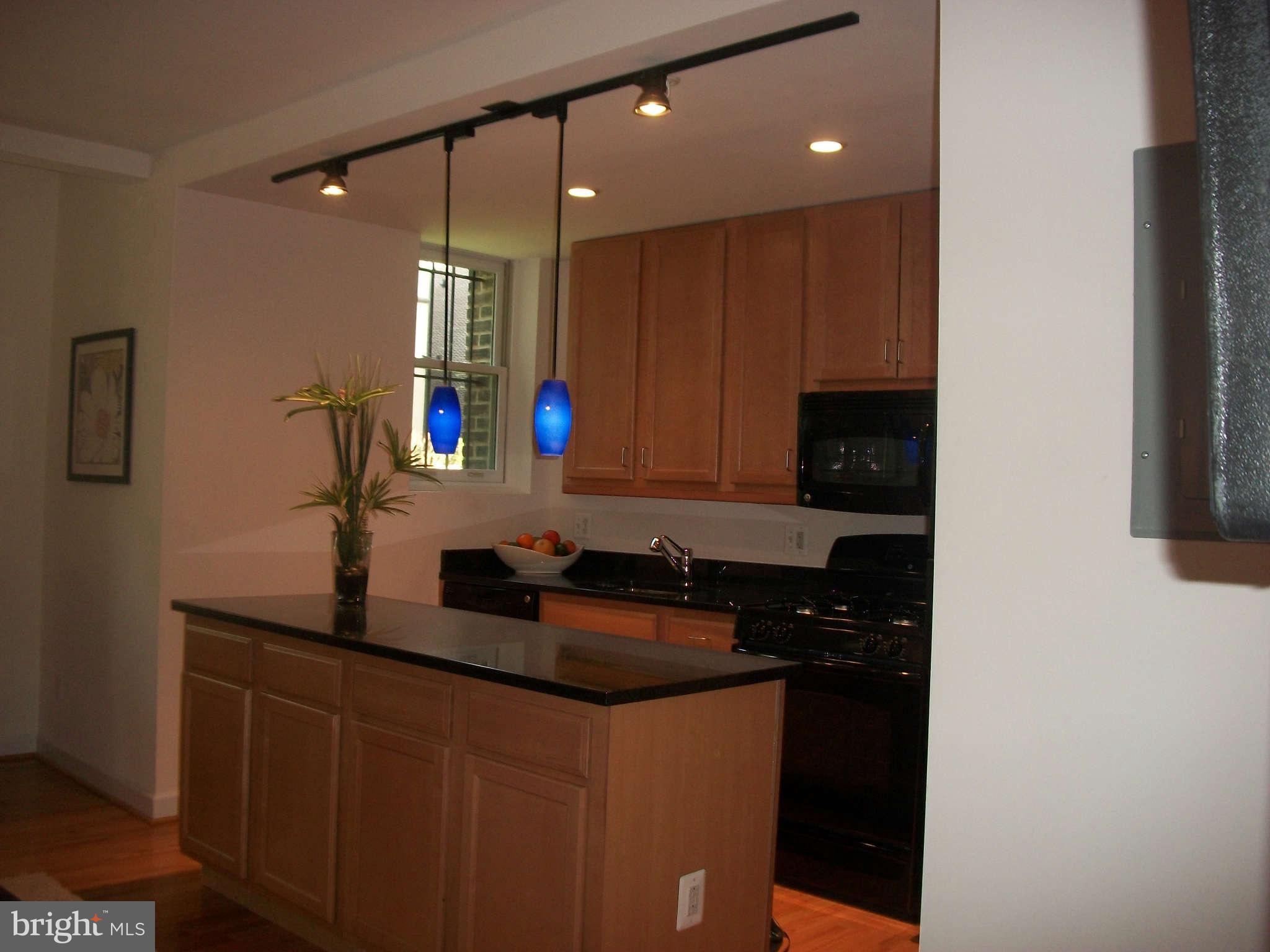 1440 Columbia Road Northwest, Unit 101 Washington, DC 20009 - Photo 9 of 30 Kitchen