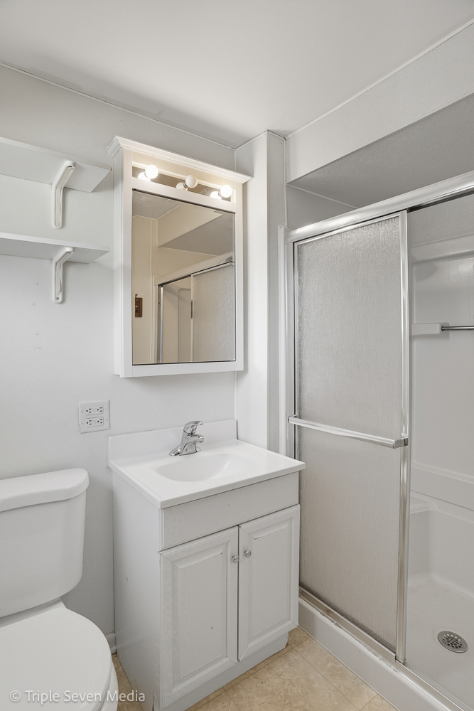 11307 German Church Road Willow Springs, IL 60480 - Photo 42 of 49 a bathroom with a toilet sink vanity and mirror