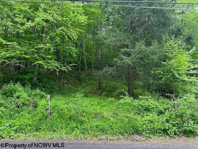 Tbd Moyer Hollow Road Elkins, WV 26241 - Photo 9 of 20 Gallery Image 9