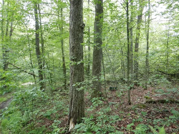 $274,900 | Bull Hill Road, Newfield, NY 14867