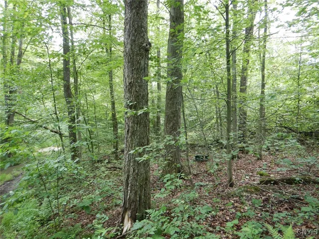 $274,900 | Bull Hill Road, Newfield, NY 14867