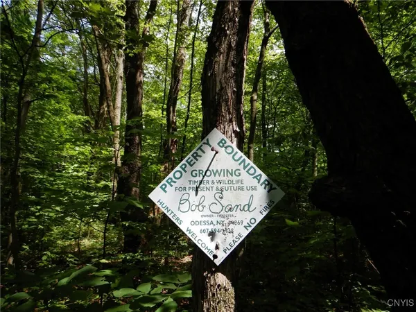 $274,900 | Bull Hill Road, Newfield, NY 14867