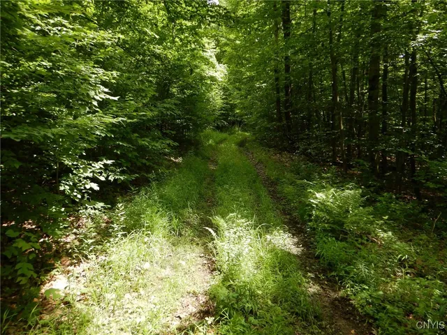 $274,900 | Bull Hill Road, Newfield, NY 14867