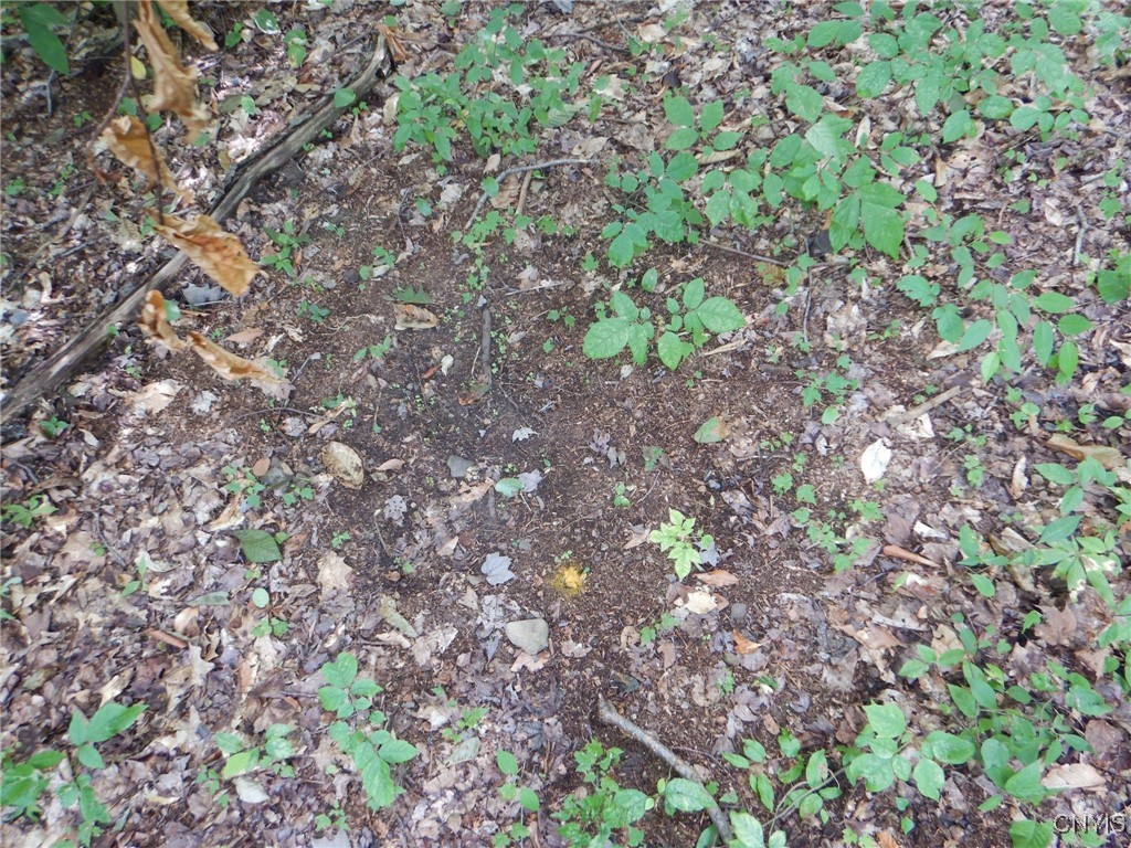 Bull Hill Road Newfield, NY 14867 - Photo 14 of 22