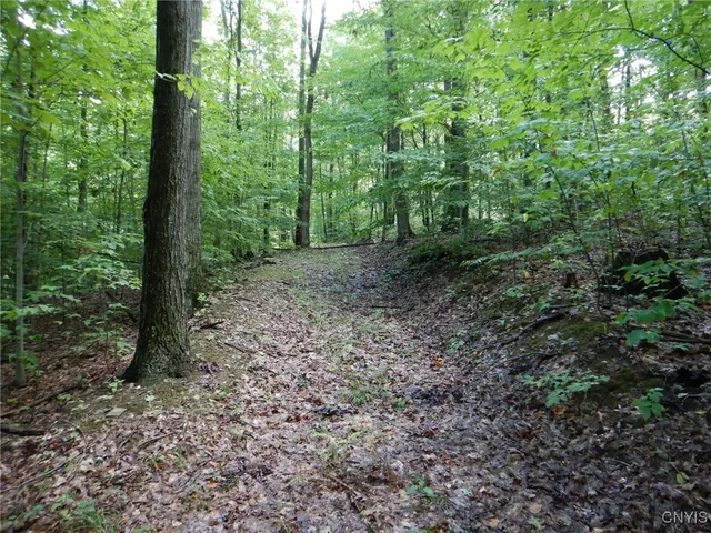 $274,900 | Bull Hill Road, Newfield, NY 14867