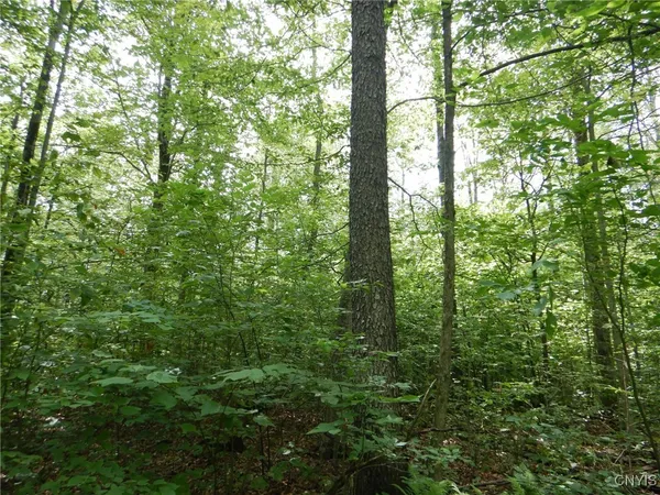 $274,900 | Bull Hill Road, Newfield, NY 14867