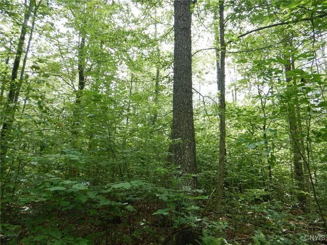 $274,900 | Bull Hill Road, Newfield, NY 14867