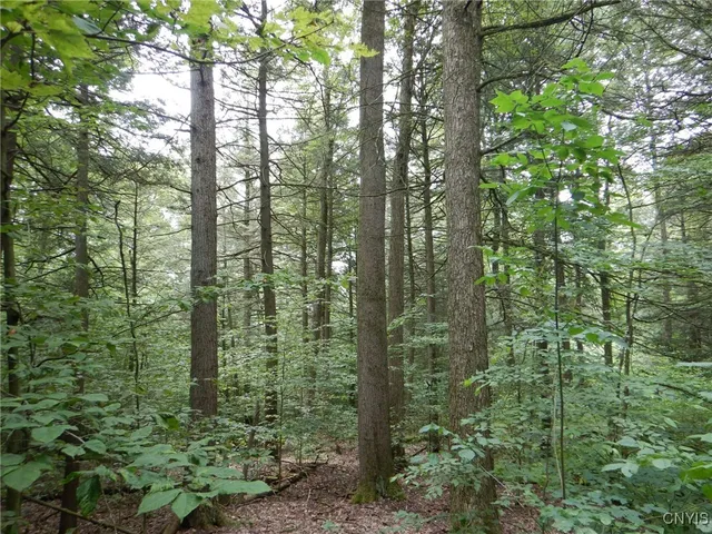 $274,900 | Bull Hill Road, Newfield, NY 14867