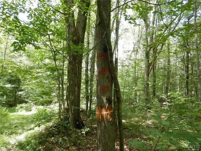 $274,900 | Bull Hill Road, Newfield, NY 14867