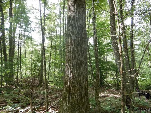 $274,900 | Bull Hill Road, Newfield, NY 14867