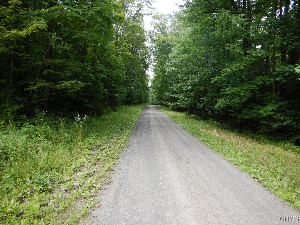 Bull Hill Road Newfield, NY 14867 - Photo 21 of 22