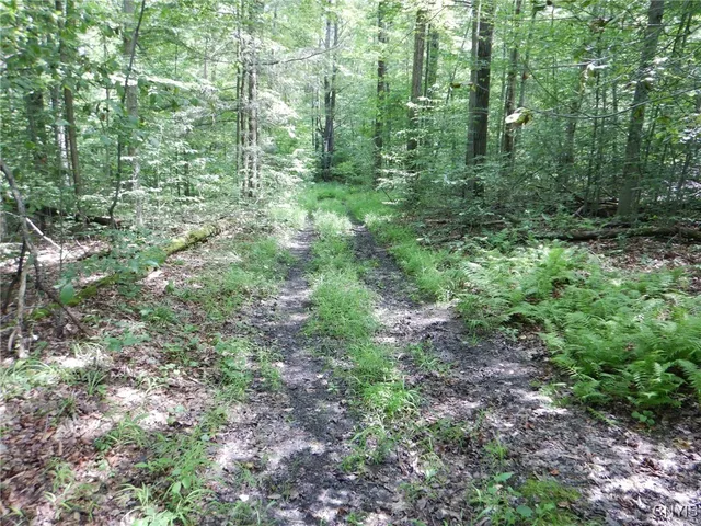 $274,900 | Bull Hill Road, Newfield, NY 14867