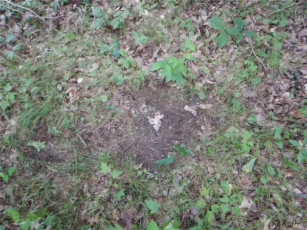 $274,900 | Bull Hill Road, Newfield, NY 14867