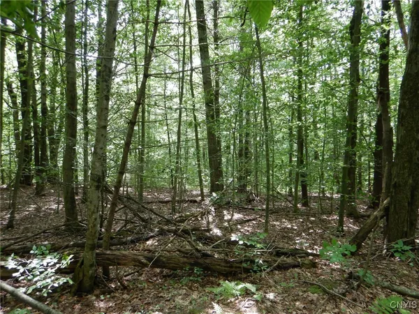 $274,900 | Bull Hill Road, Newfield, NY 14867