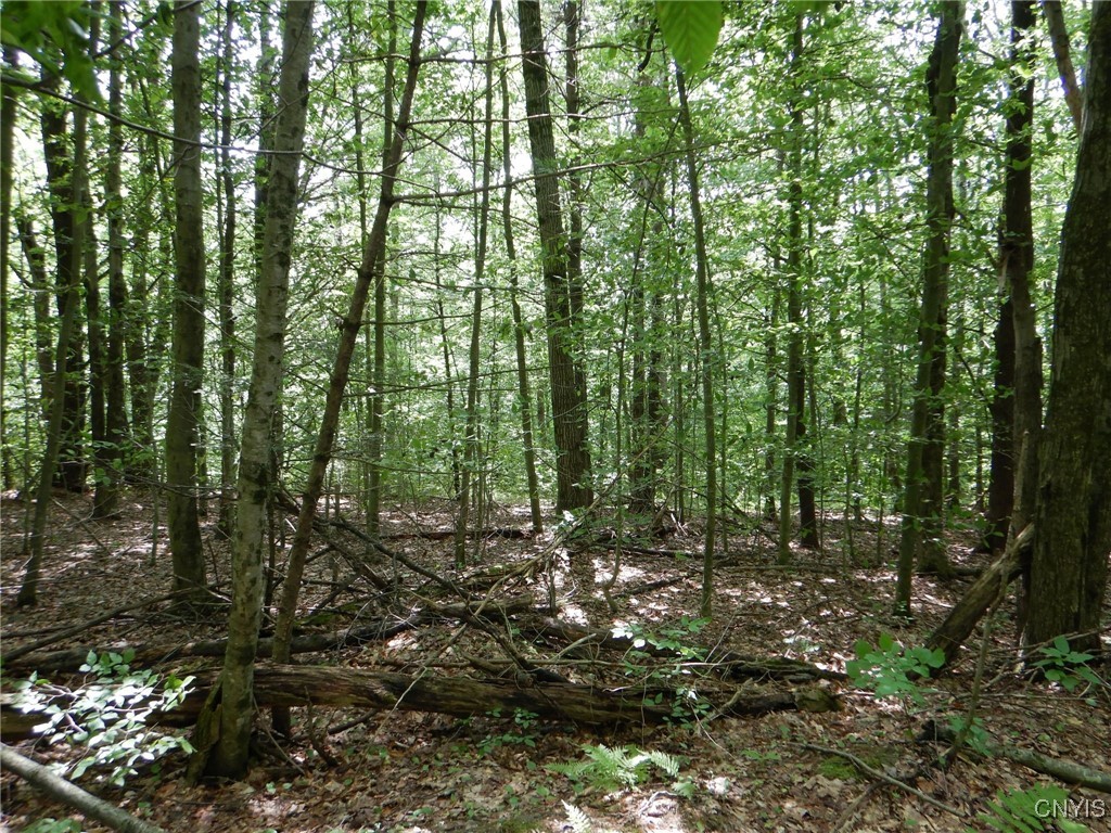 Bull Hill Road Newfield, NY 14867 - Photo 7 of 22