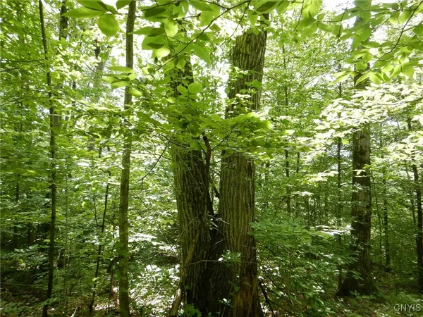 $274,900 | Bull Hill Road, Newfield, NY 14867