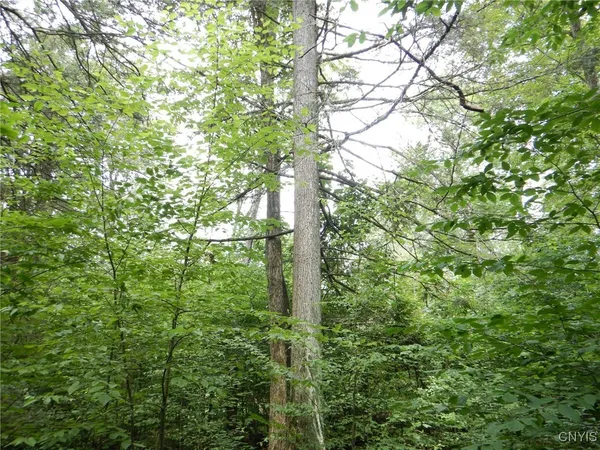 $274,900 | Bull Hill Road, Newfield, NY 14867