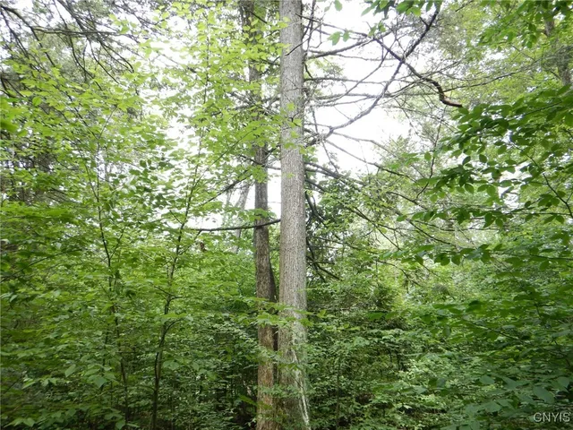 $274,900 | Bull Hill Road, Newfield, NY 14867