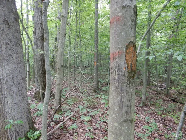 $274,900 | Bull Hill Road, Newfield, NY 14867