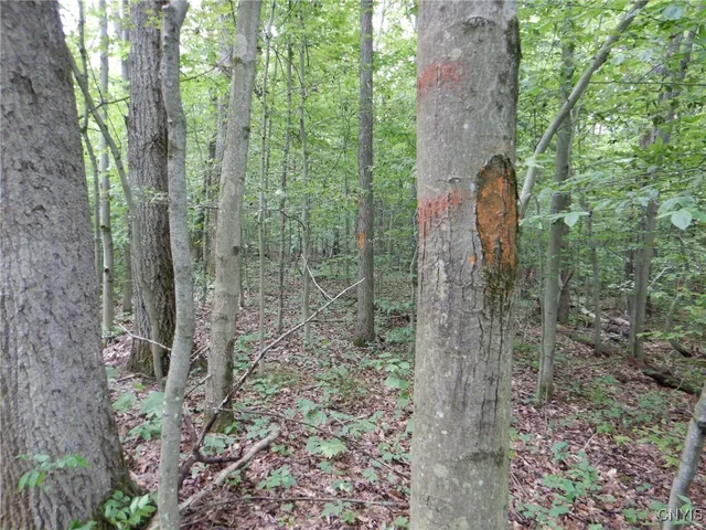 $274,900 | Bull Hill Road, Newfield, NY 14867