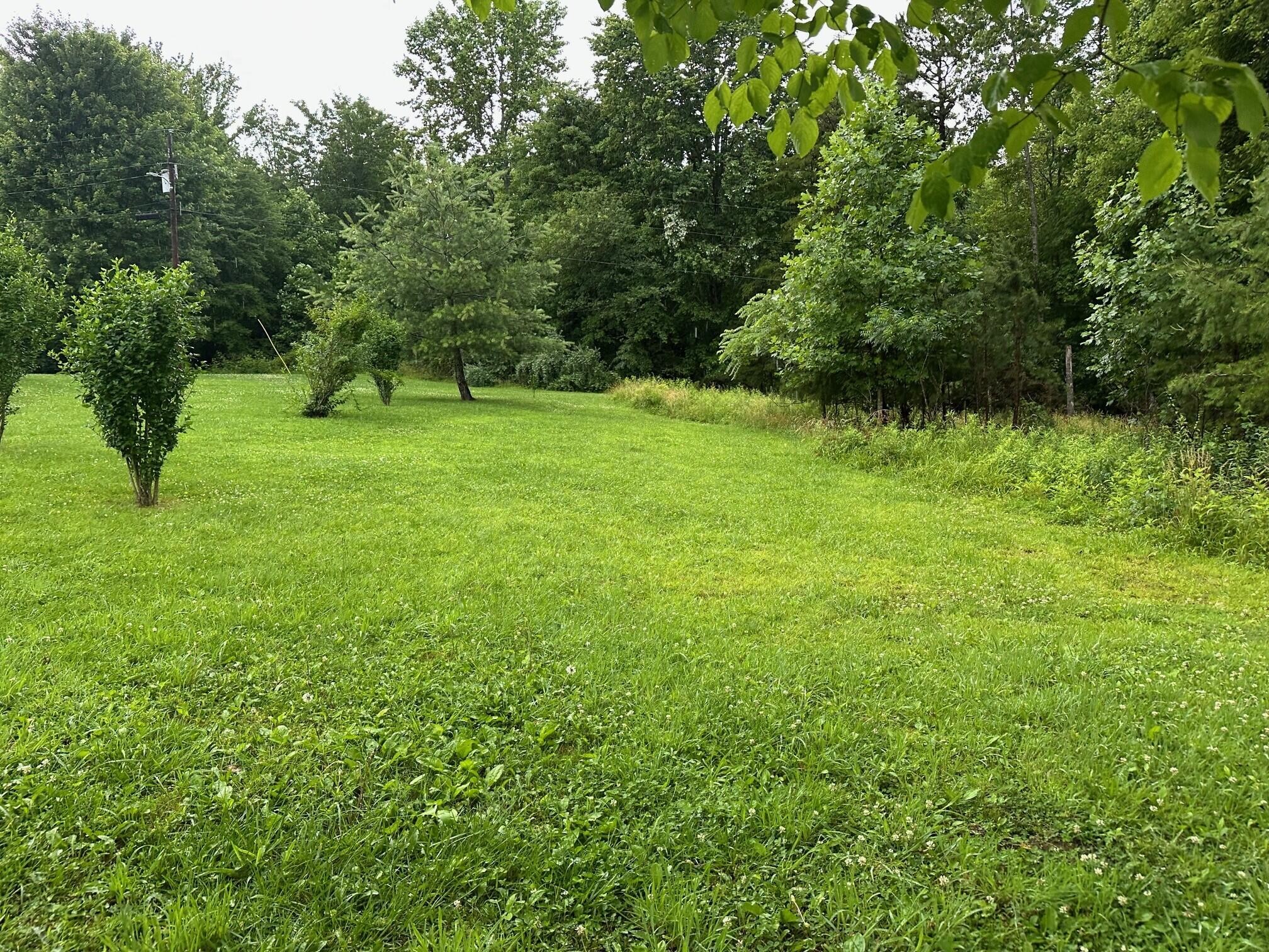 9 Sawmill Road Palmer, TN 37365 - Photo 1 of 13 Gallery Image 1