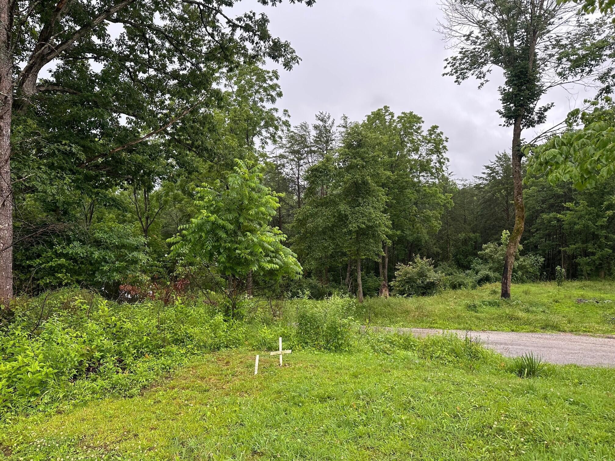 9 Sawmill Road Palmer, TN 37365 - Photo 11 of 13 Gallery Image 11
