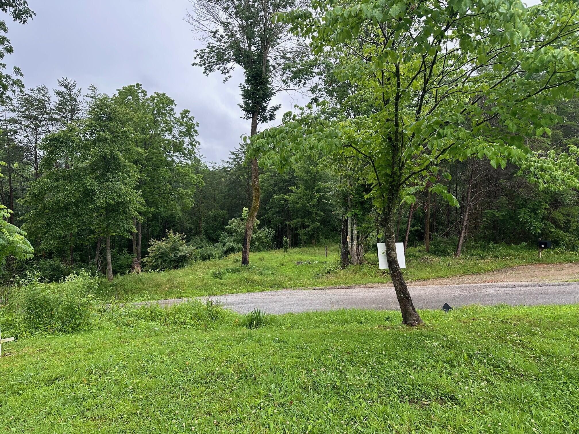 9 Sawmill Road Palmer, TN 37365 - Photo 3 of 13 Gallery Image 3