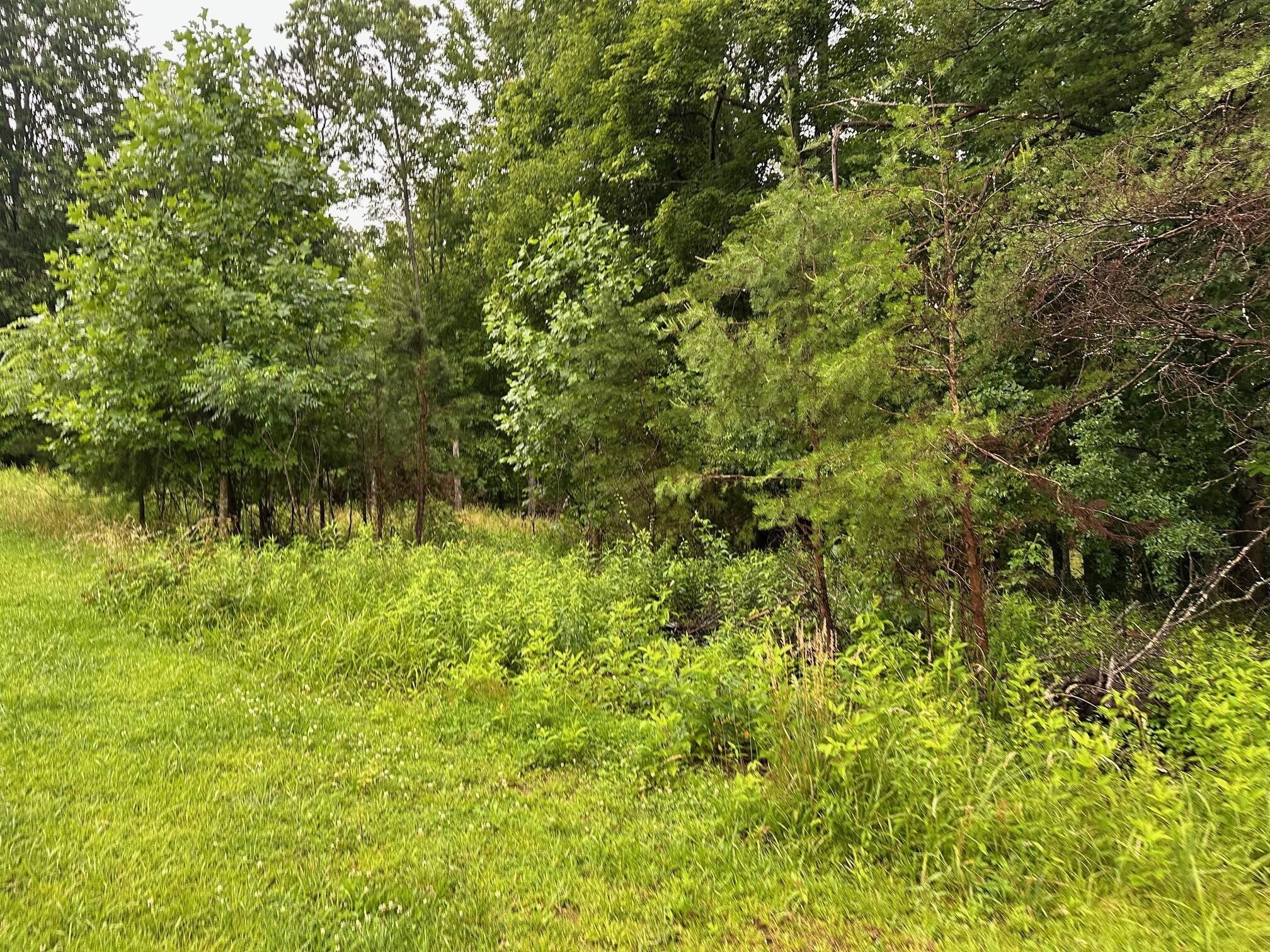 9 Sawmill Road Palmer, TN 37365 - Photo 5 of 13 Gallery Image 5